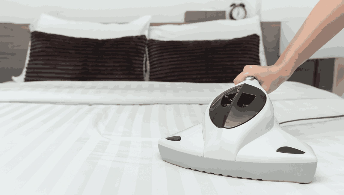 Professional Mattress Cleaning Waterways